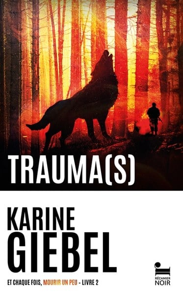 trauma giebel
